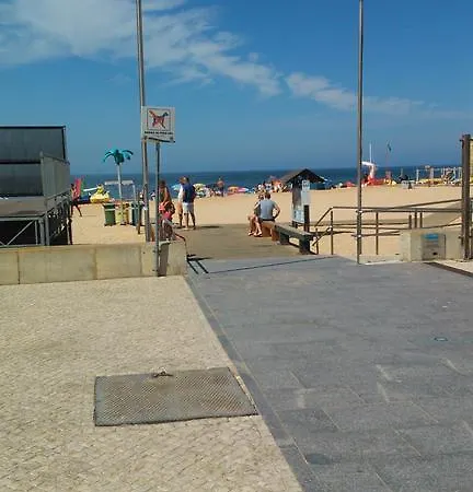 Luxury Carvoeiro (Lagoa)